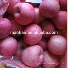 Good Quality Fuji Apple with Competive Price